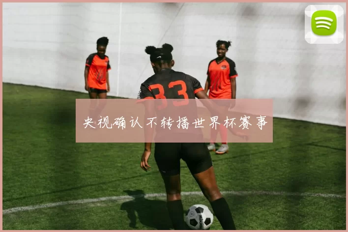 央视确认不转播世界杯赛事