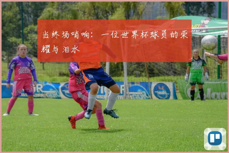 当终场哨响:一位世界杯球员的荣耀与泪水