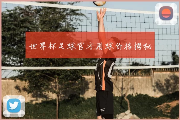 世界杯足球官方用球价格揭秘