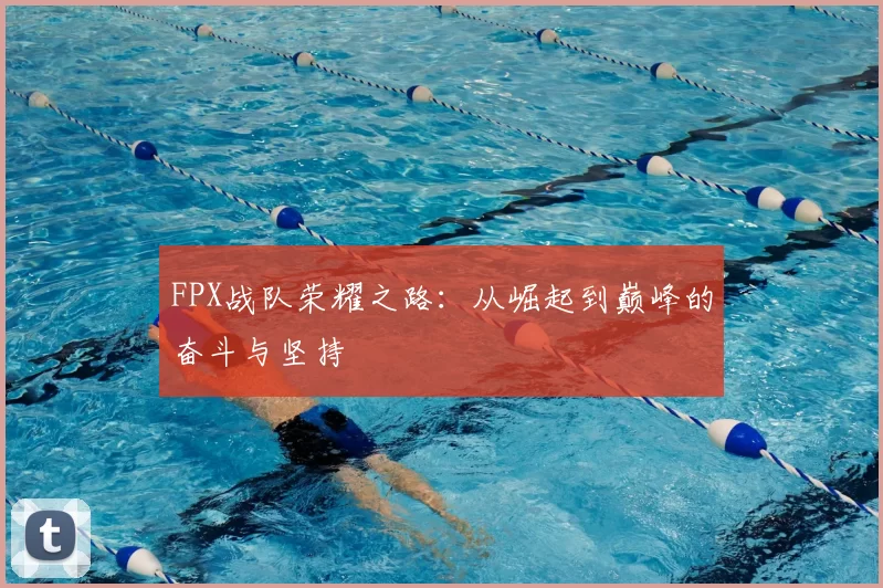 FPX战队荣耀之路：从崛起到巅峰的奋斗与坚持
