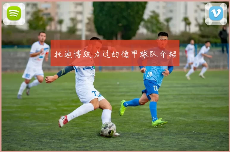托迪博效力过的德甲球队介绍