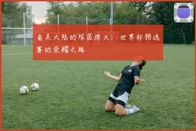 南美大陆的绿茵烽火:世界杯预选赛的荣耀之路
