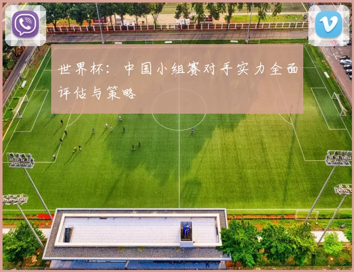 世界杯:中国小组赛对手实力全面评估与策略
