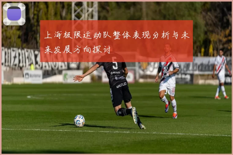 上海极限运动队整体表现分析与未来发展方向探讨
