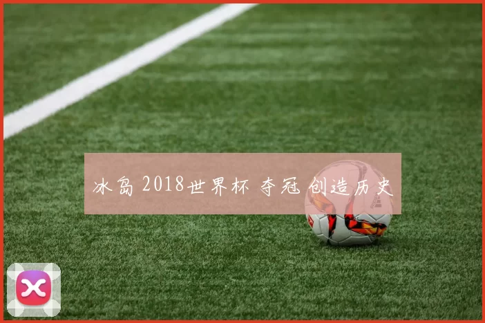 冰岛 2018世界杯 夺冠 创造历史