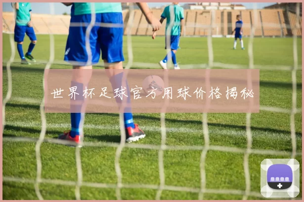 世界杯足球官方用球价格揭秘